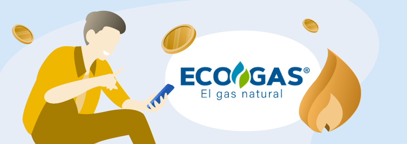 Ecogas App