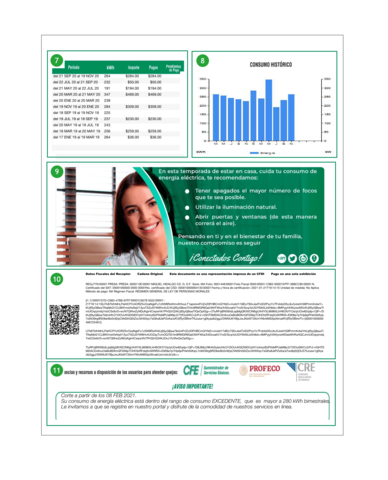 Recibo CFE Reverso Recibo CFE Reverso